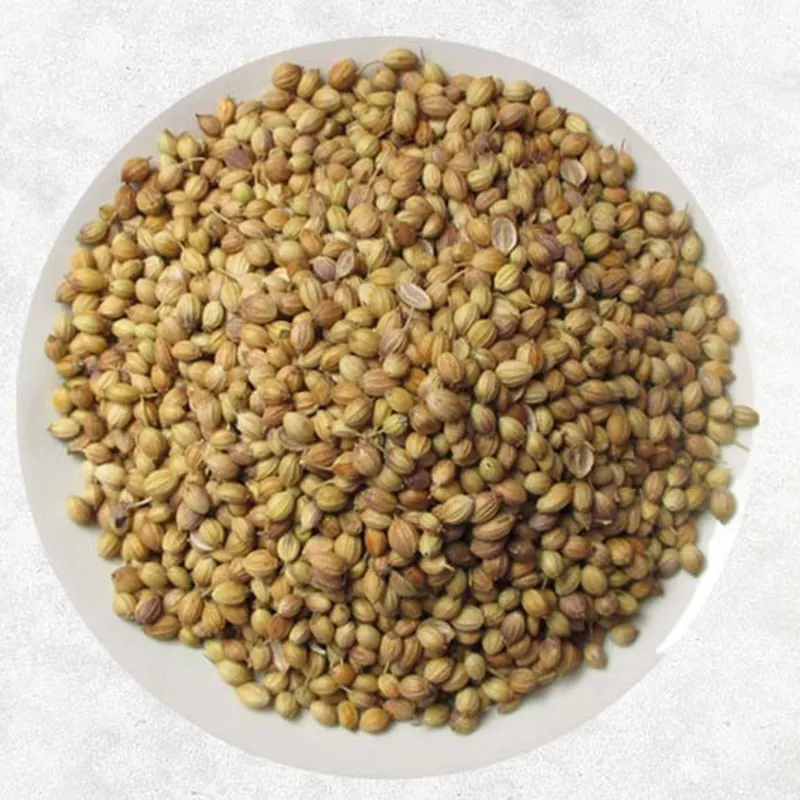 Coriander Seeds — Venus Dehydrates