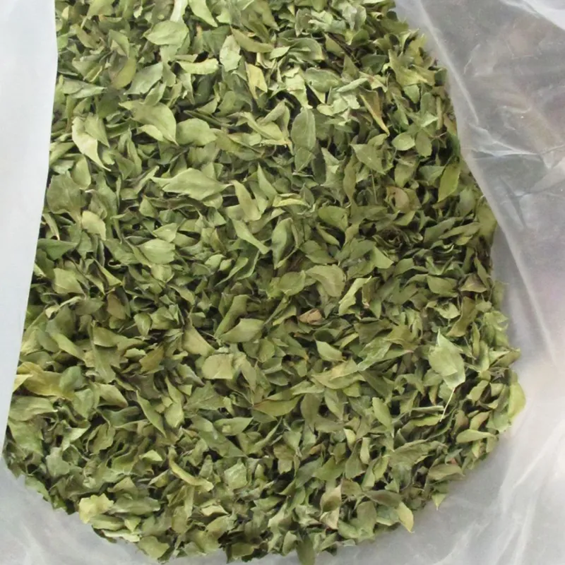 Curry Leaves — Venus Dehydrates