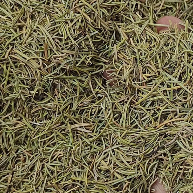 Rosemary — Venus Dehydrates
