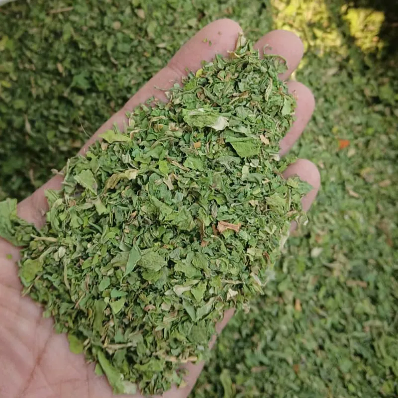 Spinach — Venus Dehydrates