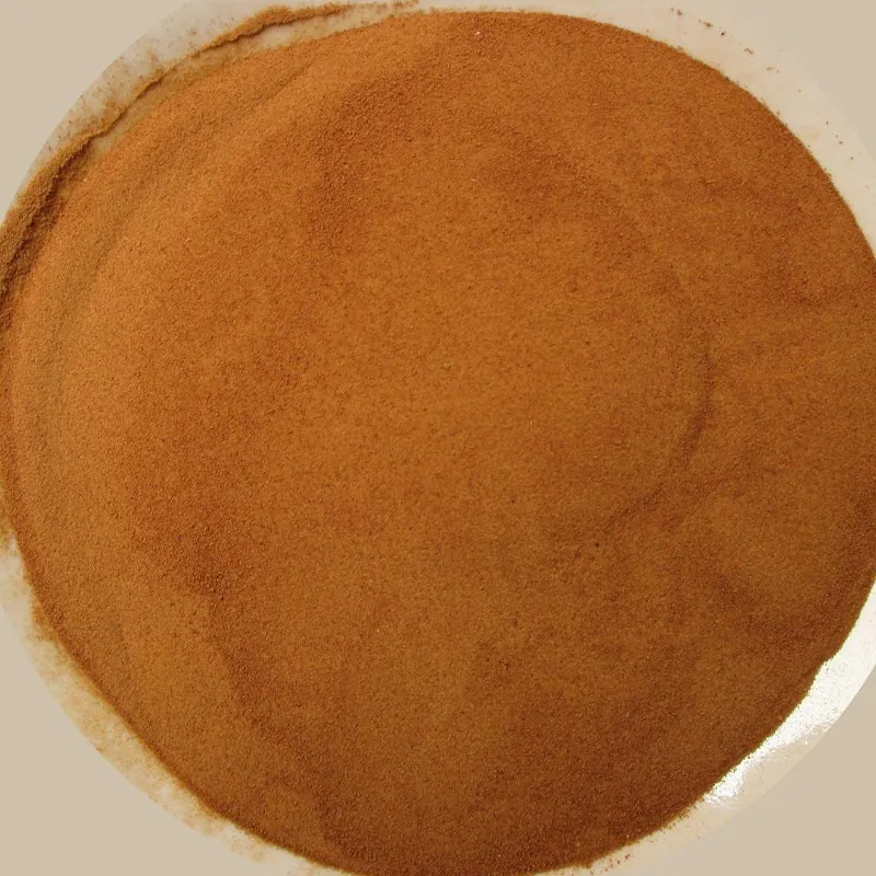 Tamarind Powder — Venus Dehydrates