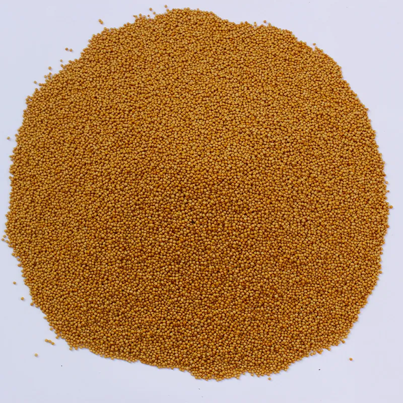 Yellow Mustard — Venus Dehydrates