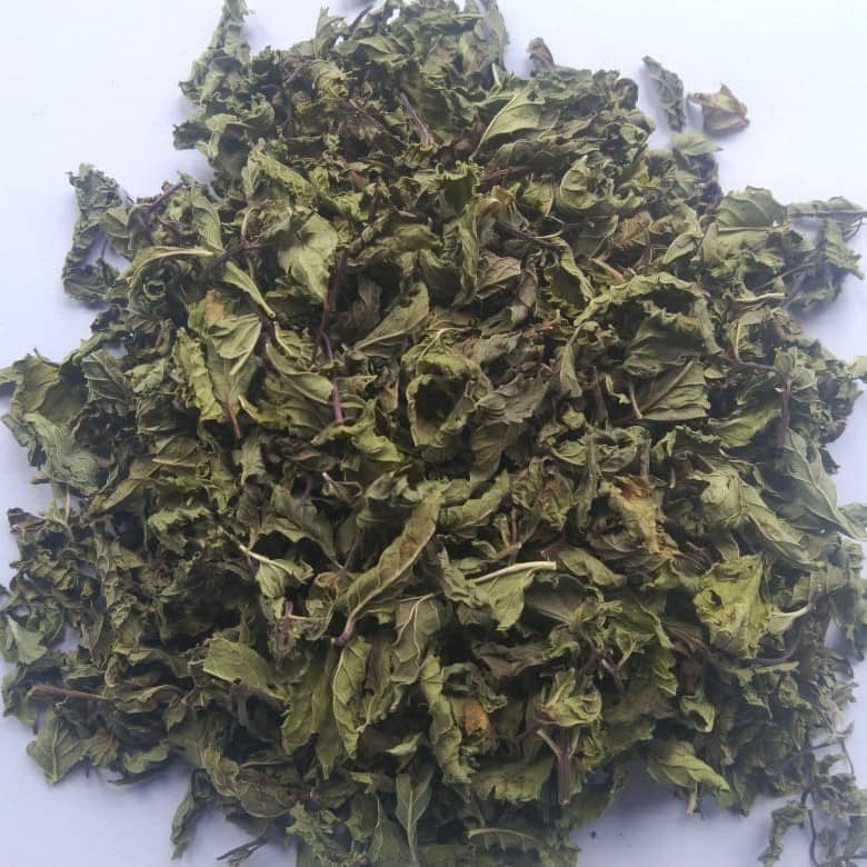 Dehydrated Mint Powder & Mint Leaves Manufacturer & Exporter