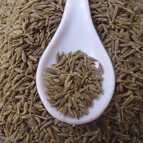 Manufacturer & Wholesale Suppliers of CUMIN SEEDS Gujarat price 300 per kg